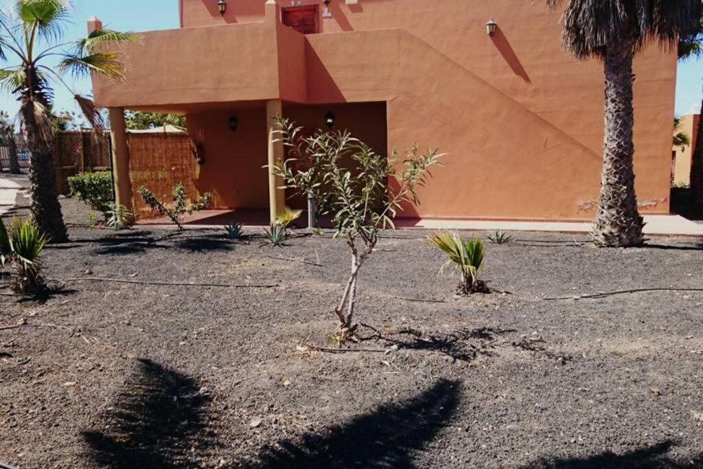 Corralejo- Conform In The City Διαμέρισμα Εξωτερικό φωτογραφία